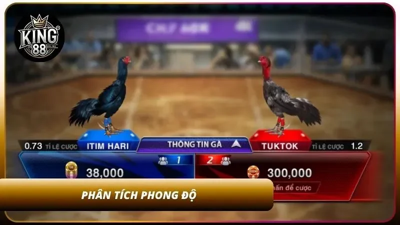 Cách Đọc Kèo Meron, Wala, BDD Trong cá Cược Đá Gà 2026 3 Nghiên cứu phong độ chiến kê trước trận kỹ càng